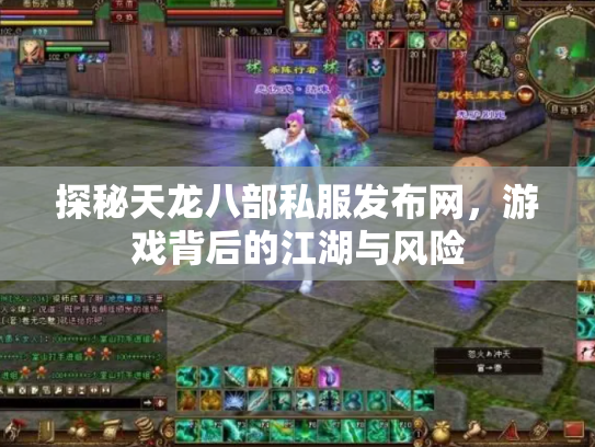 探秘天龙八部私服发布网，游戏背后的江湖与风险