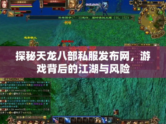 探秘天龙八部私服发布网，游戏背后的江湖与风险