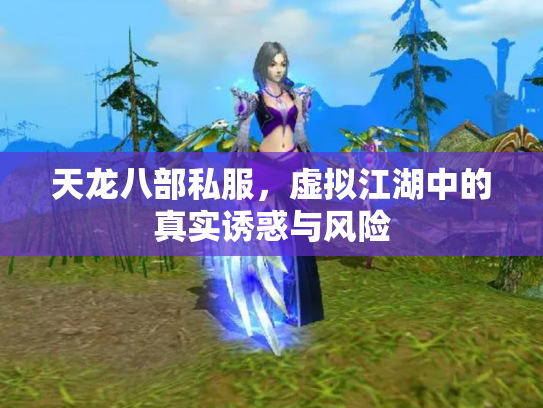 天龙八部私服，虚拟江湖中的真实诱惑与风险