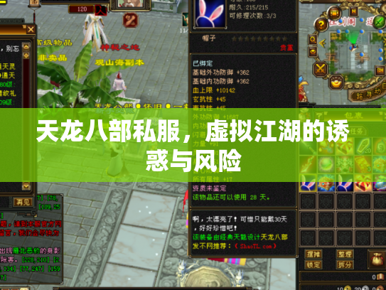 天龙八部私服，虚拟江湖的诱惑与风险