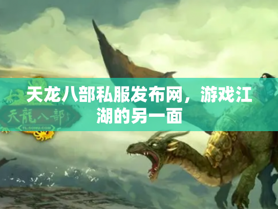 天龙八部私服发布网，游戏江湖的另一面