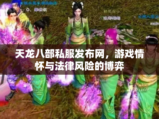 天龙八部私服发布网，游戏情怀与法律风险的博弈