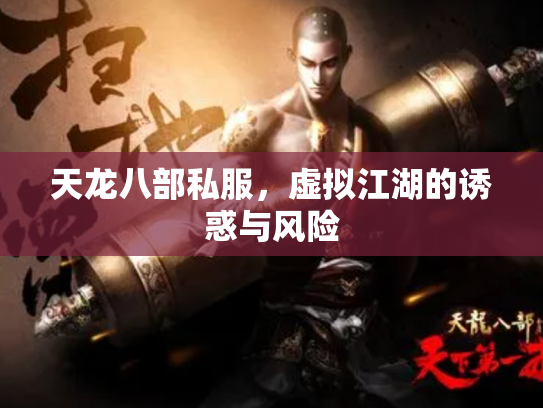 天龙八部私服，虚拟江湖的诱惑与风险