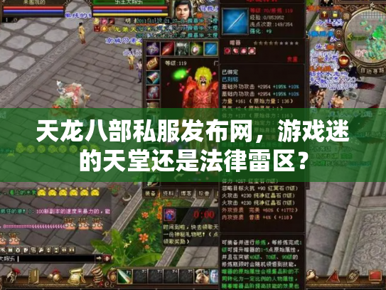 天龙八部私服发布网，游戏迷的天堂还是法律雷区？