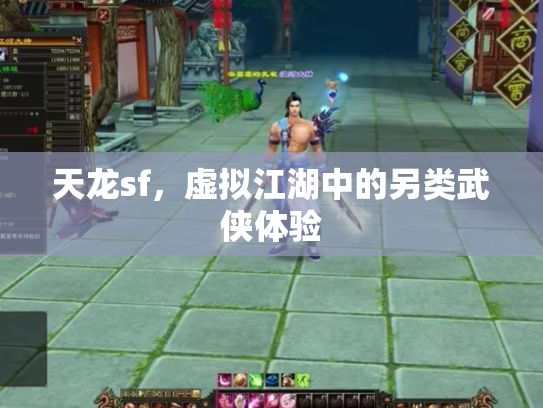 天龙sf，虚拟江湖中的另类武侠体验
