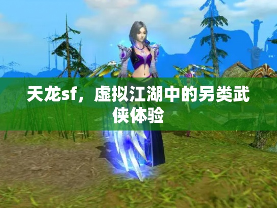 天龙sf，虚拟江湖中的另类武侠体验