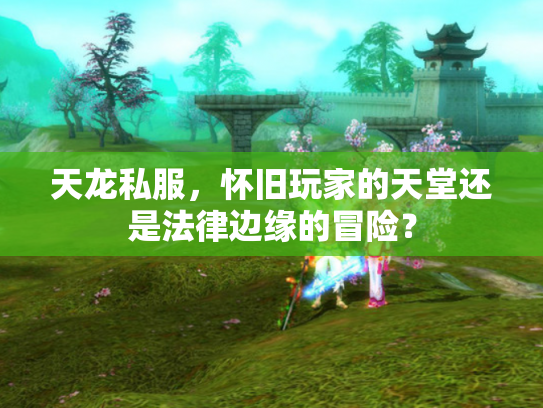 天龙私服，怀旧玩家的天堂还是法律边缘的冒险？