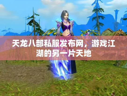 天龙八部私服发布网，游戏江湖的另一片天地