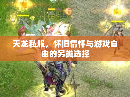 天龙私服，怀旧情怀与游戏自由的另类选择