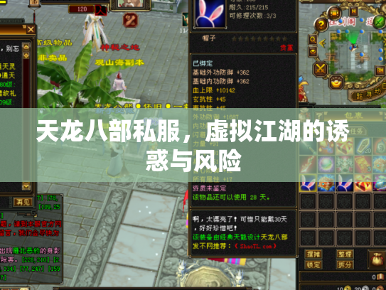 天龙八部私服，虚拟江湖的诱惑与风险