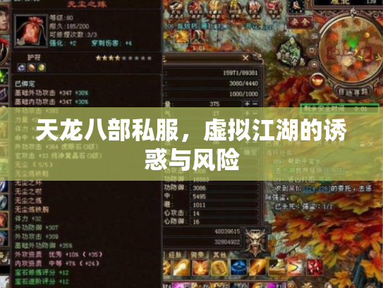 天龙八部私服，虚拟江湖的诱惑与风险