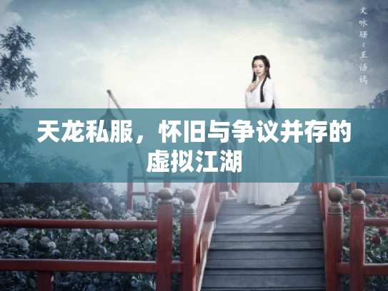 天龙私服，怀旧与争议并存的虚拟江湖