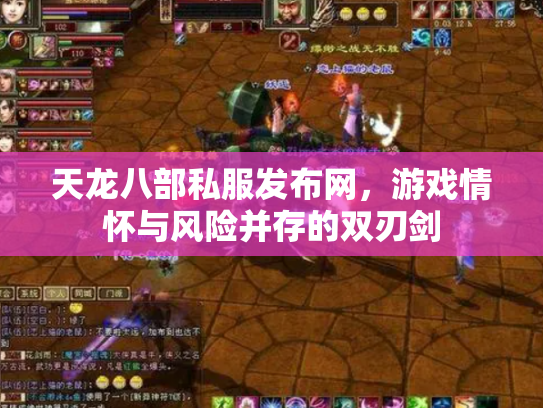 天龙八部私服发布网，游戏情怀与风险并存的双刃剑