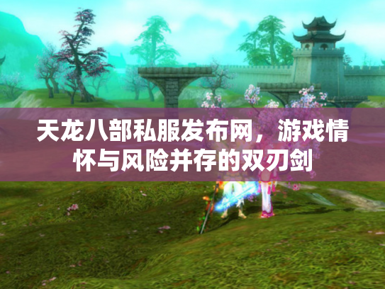 天龙八部私服发布网，游戏情怀与风险并存的双刃剑