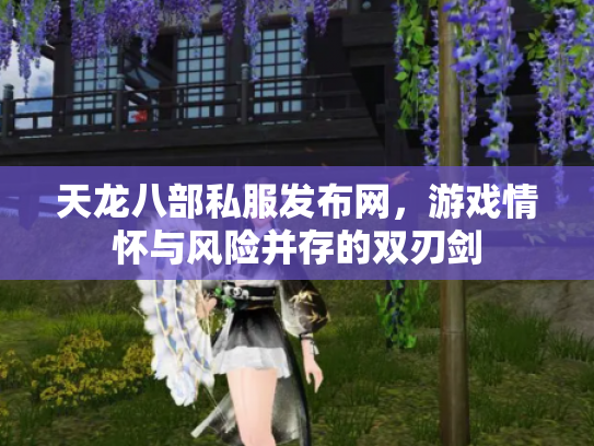 天龙八部私服发布网，游戏情怀与风险并存的双刃剑