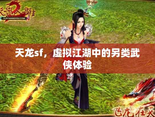 天龙sf，虚拟江湖中的另类武侠体验