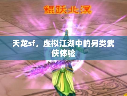 天龙sf，虚拟江湖中的另类武侠体验