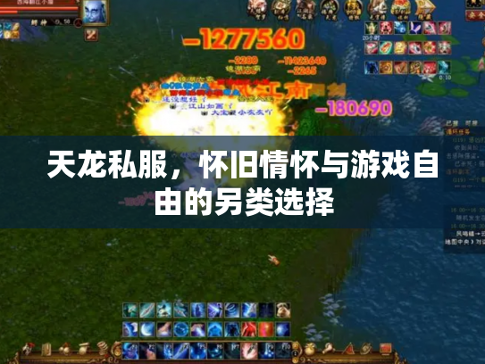 天龙私服，怀旧情怀与游戏自由的另类选择
