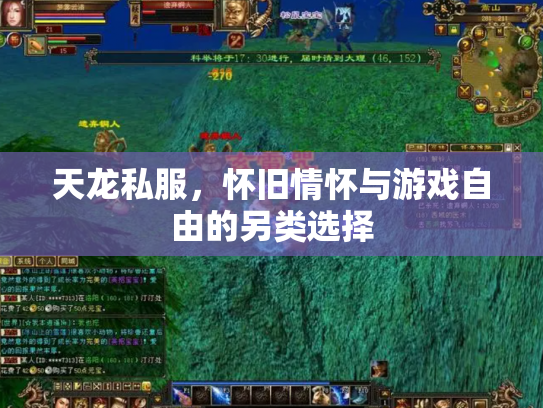 天龙私服，怀旧情怀与游戏自由的另类选择