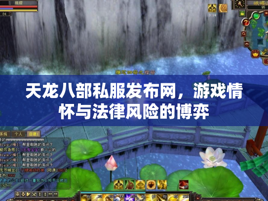 天龙八部私服发布网，游戏情怀与法律风险的博弈