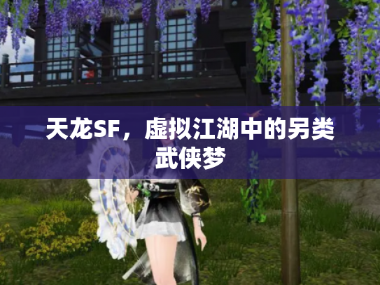 天龙SF，虚拟江湖中的另类武侠梦