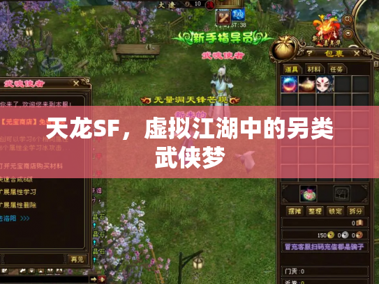 天龙SF，虚拟江湖中的另类武侠梦