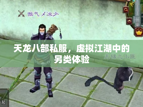 天龙八部私服，虚拟江湖中的另类体验