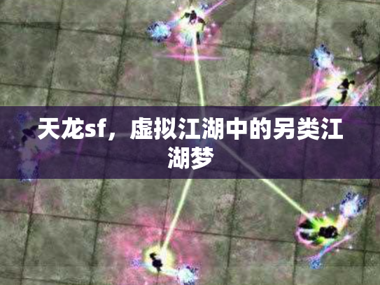天龙sf，虚拟江湖中的另类江湖梦