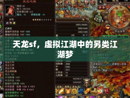 天龙sf，虚拟江湖中的另类江湖梦