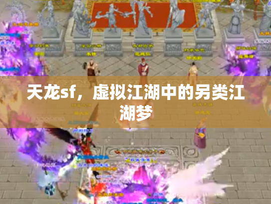 天龙sf，虚拟江湖中的另类江湖梦
