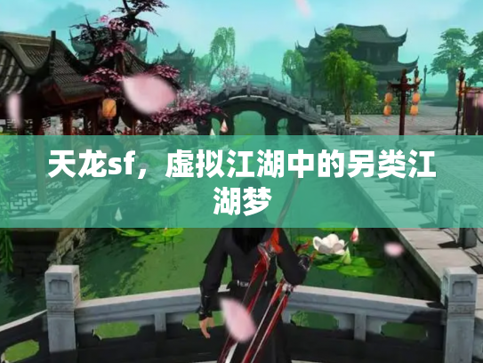 天龙sf，虚拟江湖中的另类江湖梦