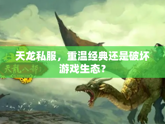 天龙私服，重温经典还是破坏游戏生态？