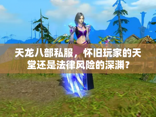 天龙八部私服，怀旧玩家的天堂还是法律风险的深渊？