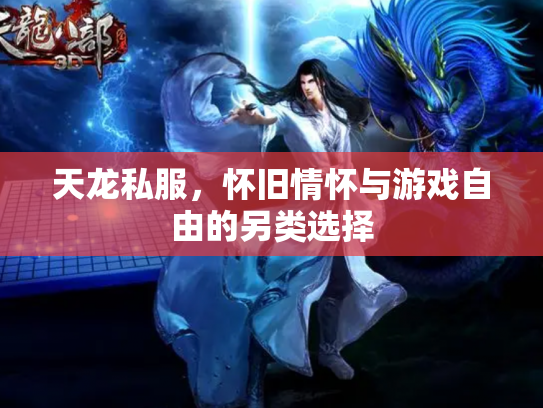 天龙私服，怀旧情怀与游戏自由的另类选择