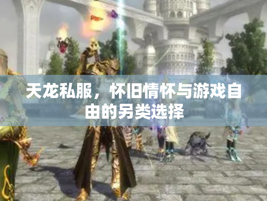 天龙私服，怀旧情怀与游戏自由的另类选择