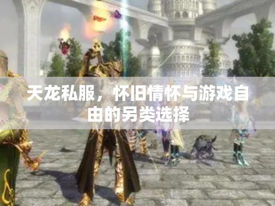 天龙私服，怀旧情怀与游戏自由的另类选择