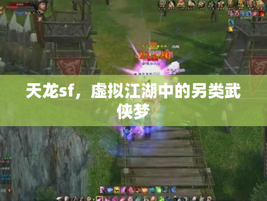 天龙sf，虚拟江湖中的另类武侠梦
