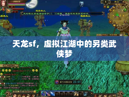 天龙sf，虚拟江湖中的另类武侠梦