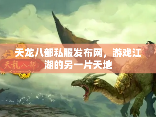 天龙八部私服发布网，游戏江湖的另一片天地