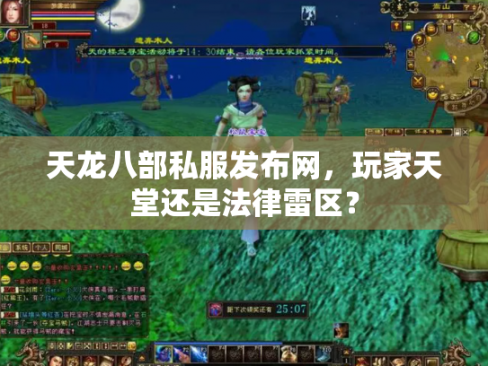 天龙八部私服发布网，玩家天堂还是法律雷区？
