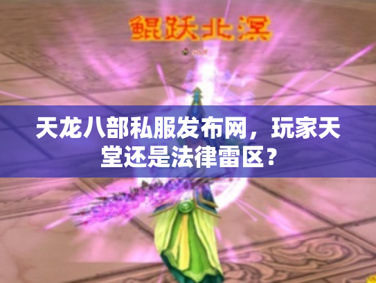 天龙八部私服发布网，玩家天堂还是法律雷区？