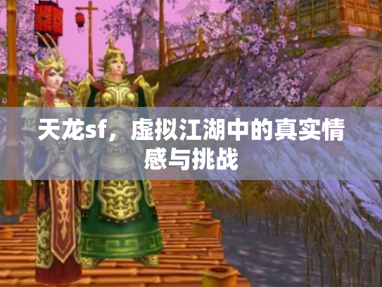 天龙sf，虚拟江湖中的真实情感与挑战