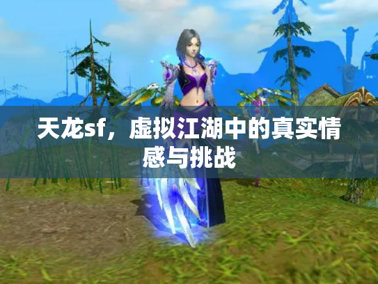 天龙sf，虚拟江湖中的真实情感与挑战