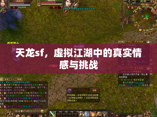 天龙sf，虚拟江湖中的真实情感与挑战