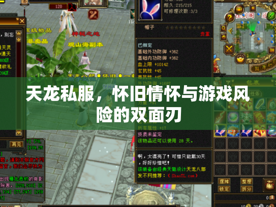 天龙私服，怀旧情怀与游戏风险的双面刃
