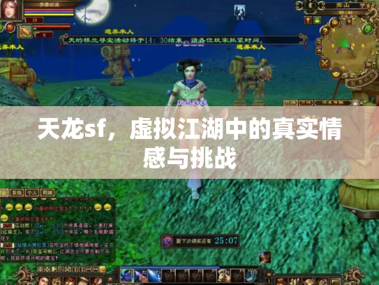 天龙sf，虚拟江湖中的真实情感与挑战