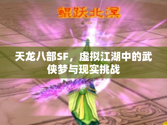 天龙八部SF，虚拟江湖中的武侠梦与现实挑战