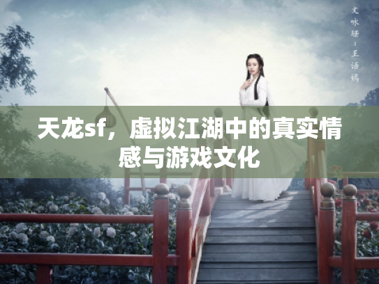 天龙sf，虚拟江湖中的真实情感与游戏文化