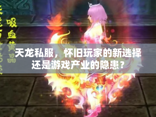天龙私服，怀旧玩家的新选择还是游戏产业的隐患？