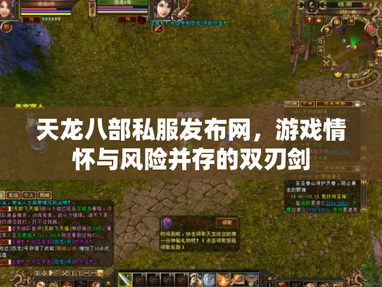 天龙八部私服发布网，游戏情怀与风险并存的双刃剑